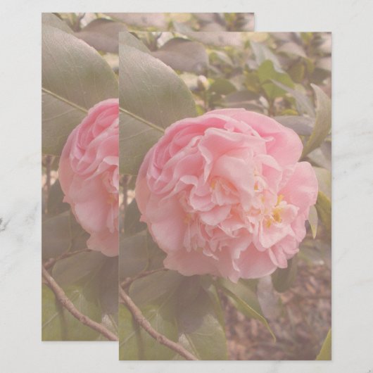 ピンクの花 便箋 (正面/裏面)