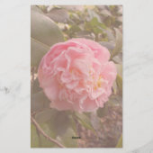 ピンクの花 便箋 (裏面)