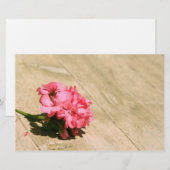 ピンクの花 便箋 (正面/裏面)