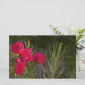 ピンクの花 便箋 (スタンド正面)