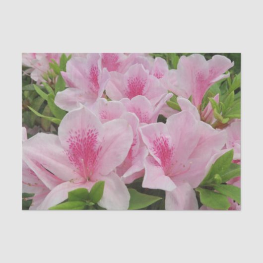 ピンクの花、日本、アジア、中国、ファッション、グリーティング 薄葉紙 (正面)