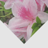 ピンクの花、日本、アジア、中国、ファッション、グリーティング 薄葉紙 (詳細)