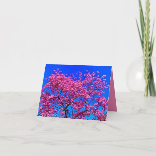 ピンクの花 春のカード カード (正面)
