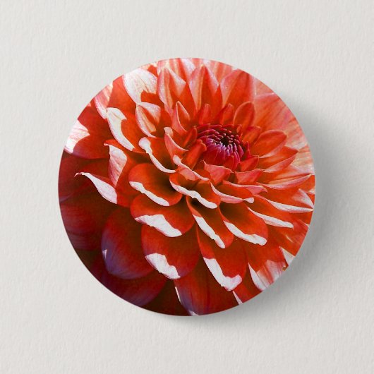ピンクの花 缶バッジ (正面)