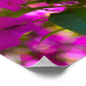 ピンクの花 – #1 ポスター (角)