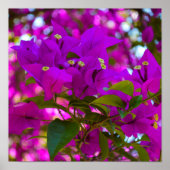 ピンクの花 – #1 ポスター (正面)