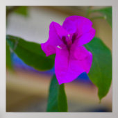 ピンクの花 - #2 ポスター (正面)