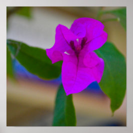 ピンクの花 - #2 ポスター