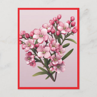 ピンクの花 #2 ポストカード