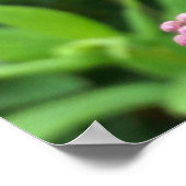 ピンクの芽 ポスター (角)