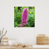 ピンクの芽 ポスター (キッチン)