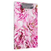 ピンクの菊の花 クリップボード (右)