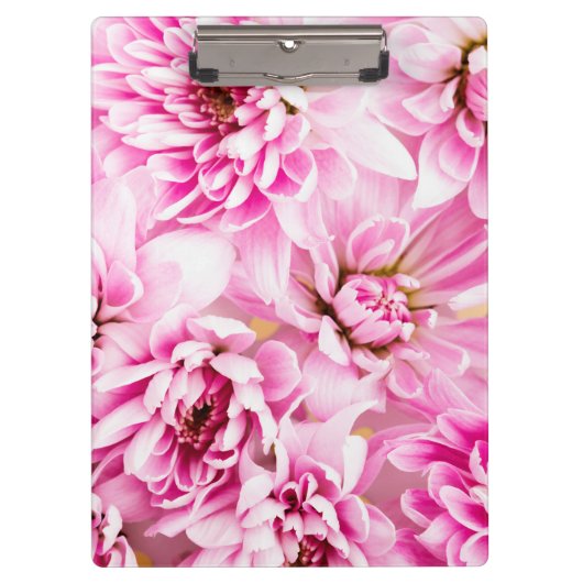 ピンクの菊の花 クリップボード (正面)