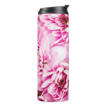 ピンクの菊の花