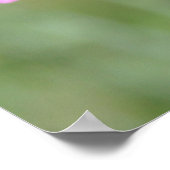 ピンクの葵の賞賛 ポスター (角)