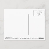 ピンクの葵マローマルバフラワーフローラ絵画ズ ポストカード (裏面)