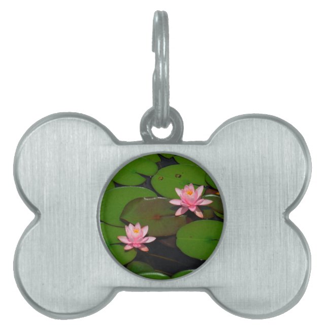 ピンクの蓮の水百合花園 ペットネームタグ (正面)