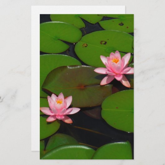 ピンクの蓮の水百合花園 便箋 (正面/裏面)
