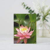 ピンクの蓮の水百合花 ポストカード (スタンド正面)