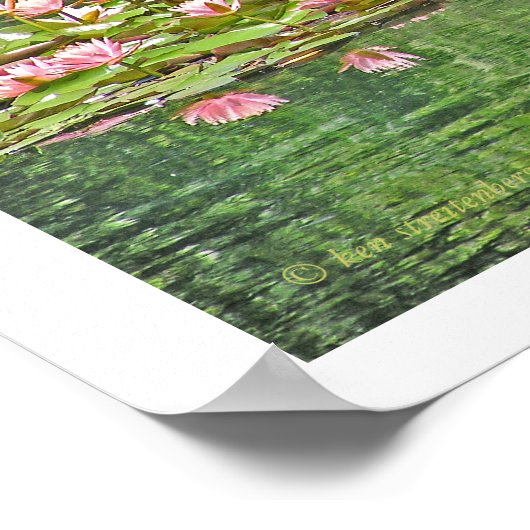 「ピンクの蓮の花と池の反射」 ポスター (角)