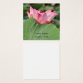 ピンクの蓮の花 (正面&裏面)