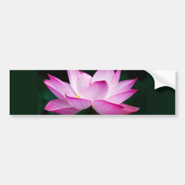 ピンクの蓮の花 バンパーステッカー