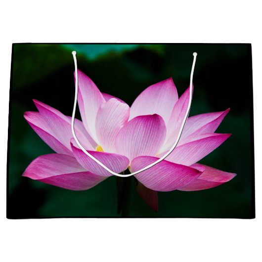 ピンクの蓮の花 ラージペーパーバッグ (正面)