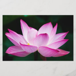 ピンクの蓮の花 便箋