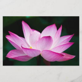 ピンクの蓮の花 便箋