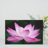 ピンクの蓮の花 便箋 (スタンド正面)