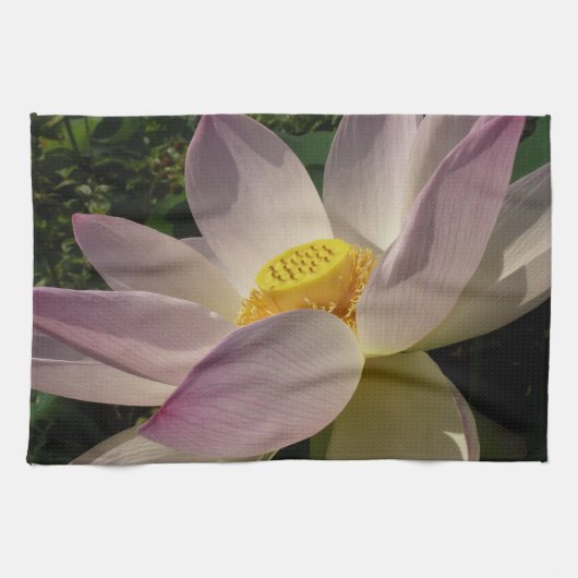 ピンクの蓮の花 III 夏の花 キッチンタオル (横)