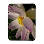 ピンクの蓮の花 III 夏の花 マグネット (縦)