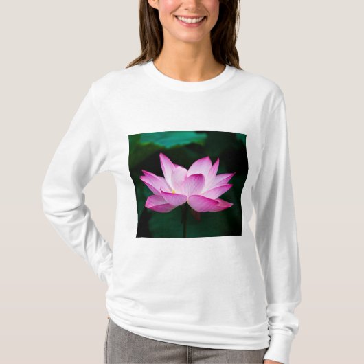 ピンクの蓮の花 Tシャツ (正面)