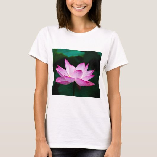 ピンクの蓮の花 Tシャツ (正面)