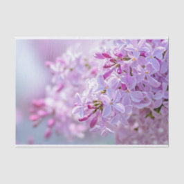 ピンクの薄紫花 薄葉紙