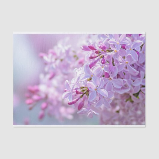 ピンクの薄紫花 薄葉紙 (正面)