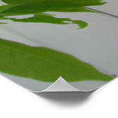 ピンクの藤~プリント ポスター (角)