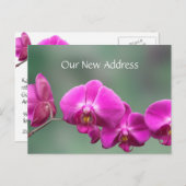 ピンクの蘭の新住所 案内ポストカード (正面/裏面)