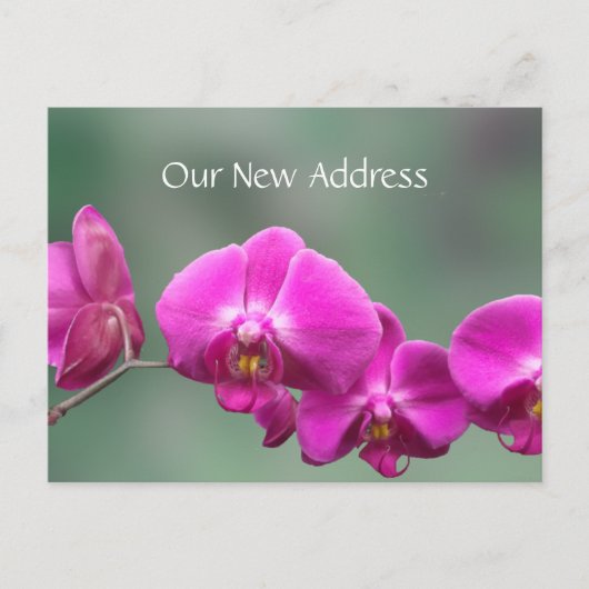 ピンクの蘭の新住所 案内ポストカード (正面)