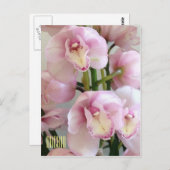 ピンクの蘭の縦はがき ポストカード (正面/裏面)