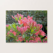 ピンクの蘭の花が咲く美しい写真 - ジグソーパズル (横)