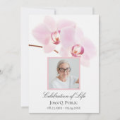 ピンクの蘭の花が白いお祝いを飾る 招待状 (正面)