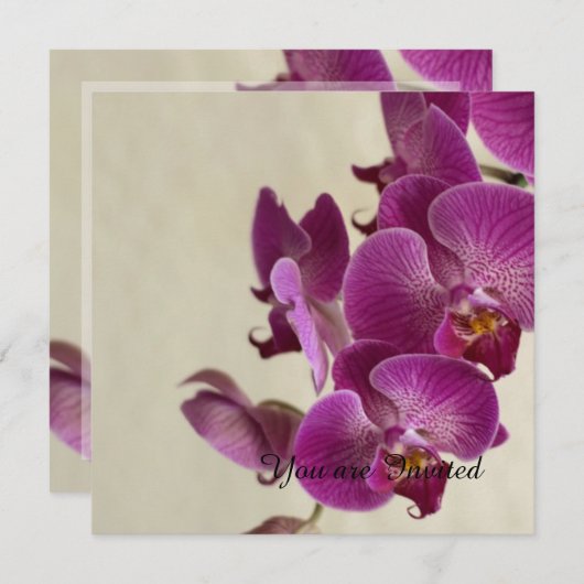 ピンクの蘭の花の誕生日 招待状 (正面/裏面)