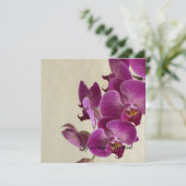 ピンクの蘭の花の誕生日 招待状 (スタンド正面)