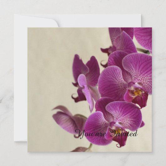 ピンクの蘭の花の誕生日 招待状 (正面)