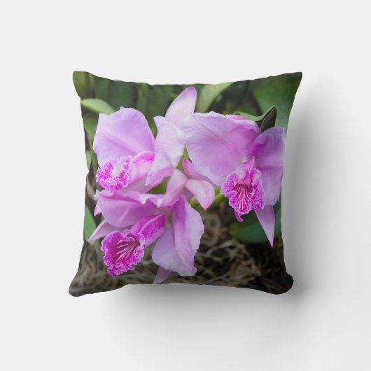 ピンクの蘭の花束 クッション (裏面)