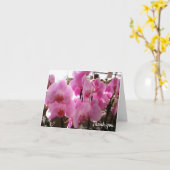 ピンクの蘭の花 カード (黄色い花)
