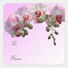 ピンクの蘭の花、クリスマスプレゼントのラップラベル。 スクエアシール