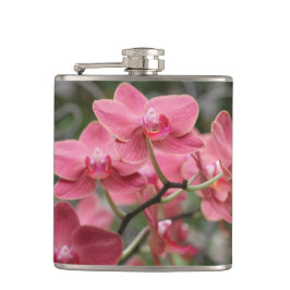 ピンクの蘭の花 フラスク