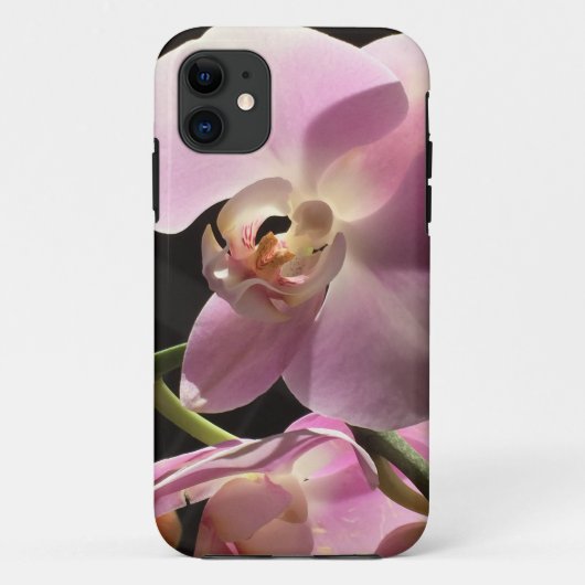 ピンクの蘭の花 フラワー iPhone カバー (裏面)